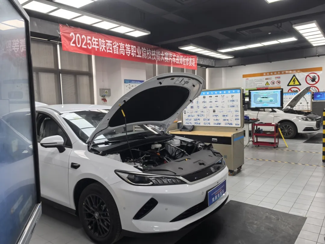 1748427712601224.jpg 1 (3).jpg